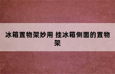 冰箱置物架妙用 挂冰箱侧面的置物架